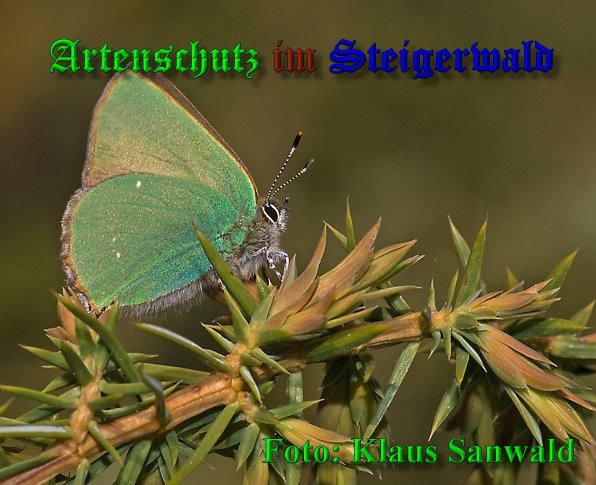 Copyright AiS-Klaus Sanwald Bild zum Eintrag (39660-160)