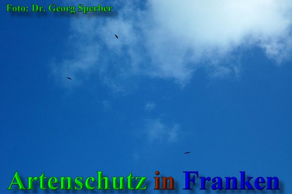 Copyright AiS - Dr. Georg Sperber Bild zum Eintrag (40098-160)