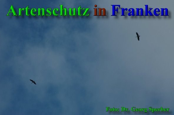 Copyright AiS - Dr. Georg Sperber Bild zum Eintrag (40100-160)