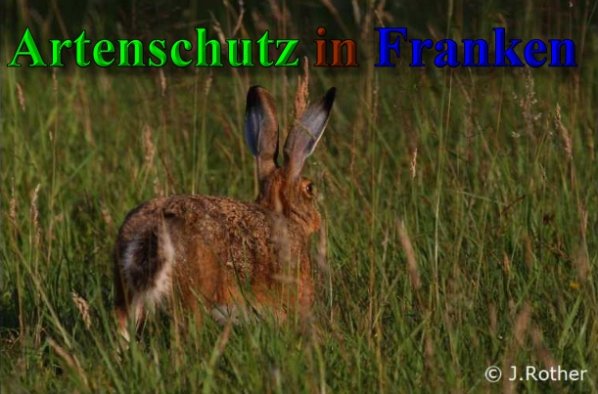 Copyright AiS-Johannes Rother Bild zum Eintrag (40215-160)