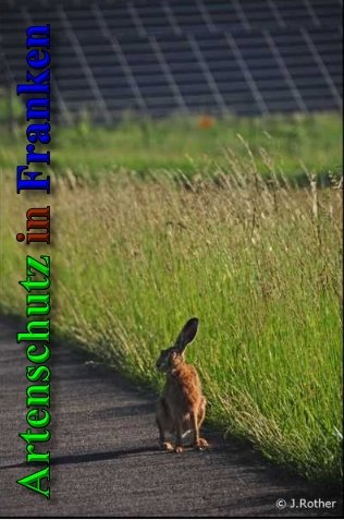 Copyright AiS-Johannes Rother Bild zum Eintrag (40218-160)