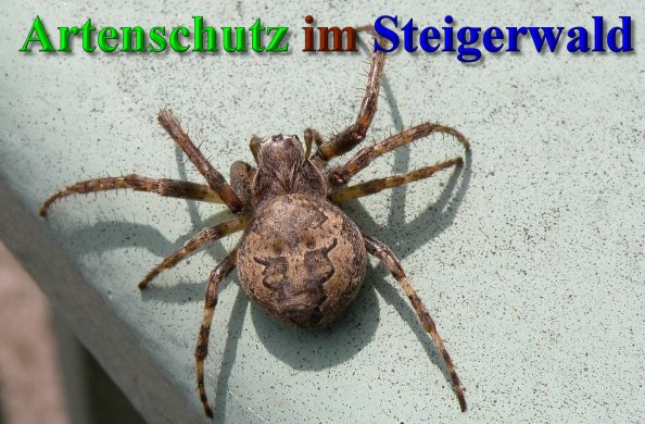 Bild zum Eintrag (40319-160)