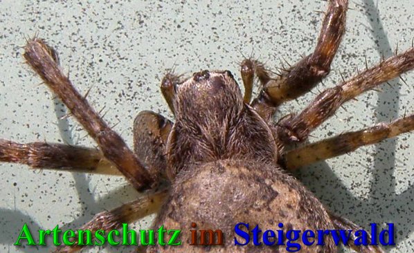 Bild zum Eintrag (40321-160)