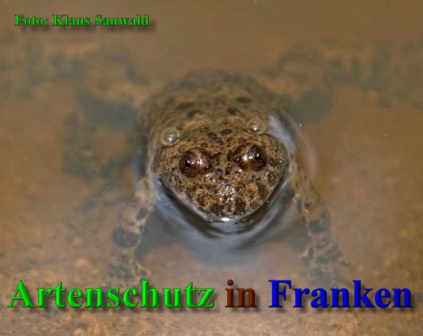 Copyright AiS - Klaus Sanwald Bild zum Eintrag (40390-160)