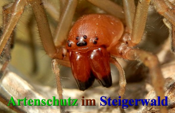 Bild zum Eintrag (40406-160)