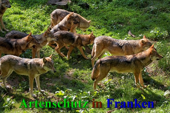 Bild zum Eintrag (41278-160)