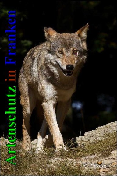 Copyright AiS-Johannes Rother Bild zum Eintrag (41644-160)