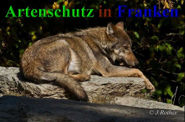 Copyright AiS-Johannes Rother Bild zum Eintrag (41645-160)