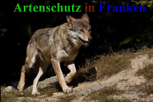 Copyright AiS-Johannes Rother Bild zum Eintrag (41646-160)