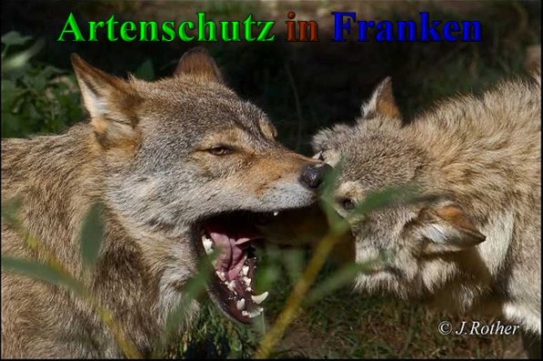 Copyright AiS-Johannes Rother Bild zum Eintrag (41647-160)