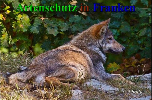 Copyright AiS-Johannes Rother Bild zum Eintrag (41648-160)