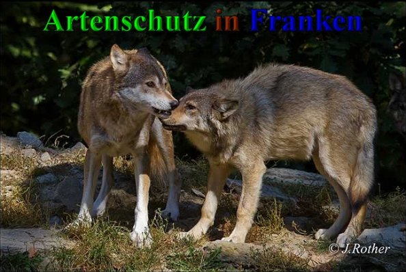 Copyright AiS-Johannes Rother Bild zum Eintrag (41649-160)