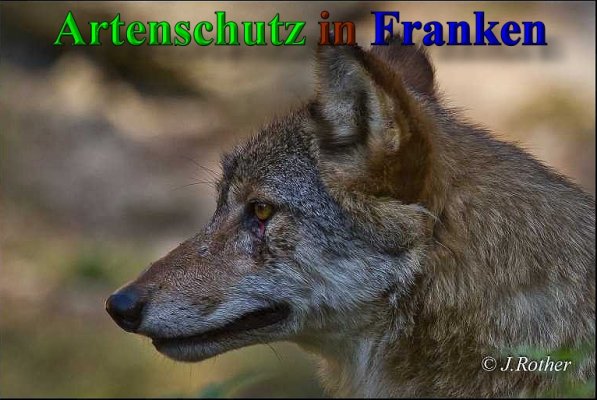 Copyright AiS-Johannes Rother Bild zum Eintrag (41650-160)