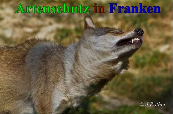 Copyright AiS-Johannes Rother Bild zum Eintrag (41651-160)
