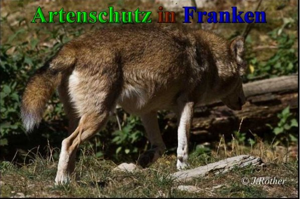 Copyright AiS-Johannes Rother Bild zum Eintrag (41652-160)
