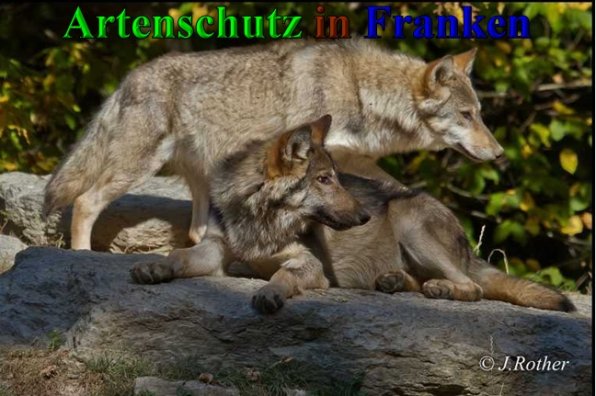 Copyright AiS-Johannes Rother Bild zum Eintrag (41653-160)