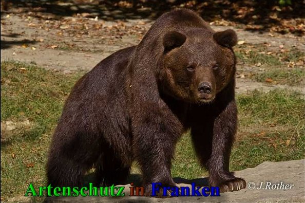 Copyright AiS-Johannes Rother Bild zum Eintrag (41657-160)