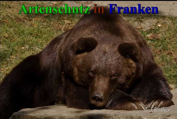 Copyright AiS-Johannes Rother Bild zum Eintrag (41658-160)