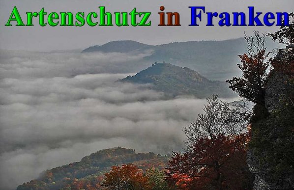 Copyright AiS-Klaus Sanwald Bild zum Eintrag (42596-160)