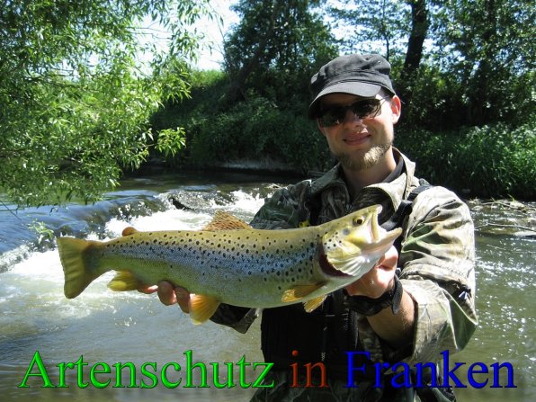 Copyright AiS - Peter Hoffmann Bild zum Eintrag (43381-160)