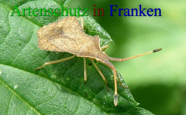 Bild zum Eintrag (43406-160)