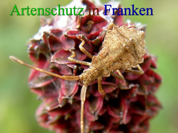 Bild zum Eintrag (43407-160)