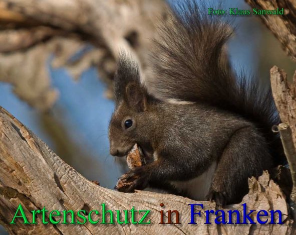 Bild zum Eintrag (43869-160)