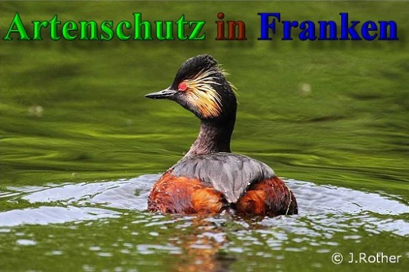 Copyright AiS-Johannes Rother Bild zum Eintrag (44045-160)