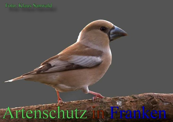 Copyright AiS-Klaus Sanwald Bild zum Eintrag (44210-160)