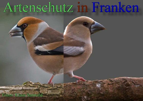Copyright AiS-Klaus Sanwald Bild zum Eintrag (44211-160)