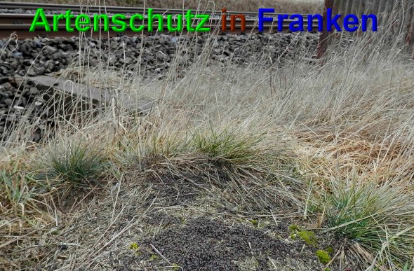 Bild zum Eintrag (44364-160)