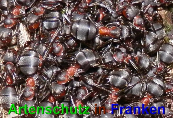 Bild zum Eintrag (44366-160)