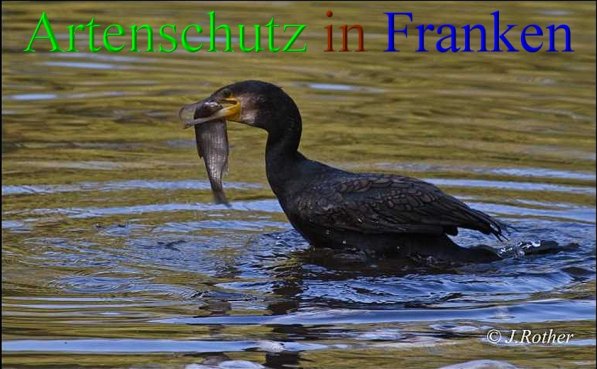 Copyright AiS-Johannes Rother Bild zum Eintrag (44389-160)