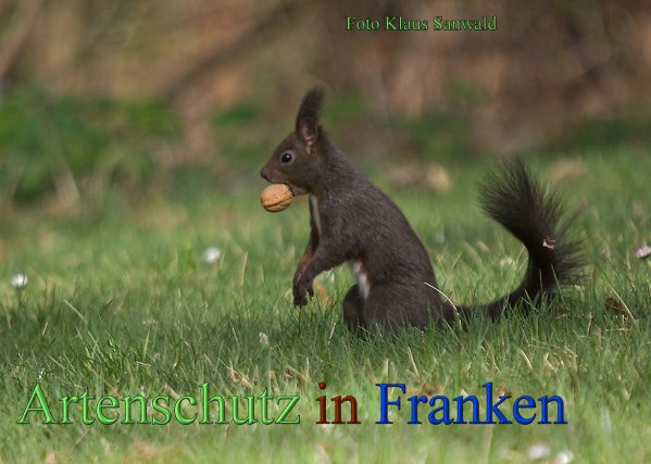 Copyright AiS-Klaus Sanwald Bild zum Eintrag (45294-160)