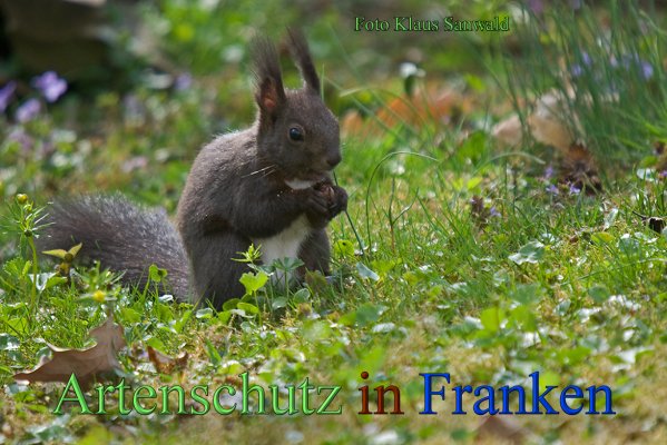 Copyright AiS-Klaus Sanwald Bild zum Eintrag (45296-160)
