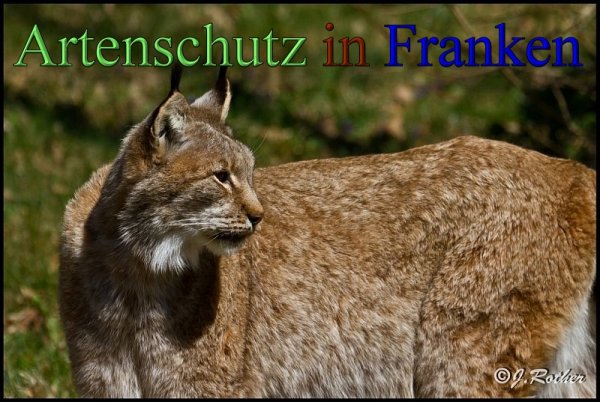 Copyright AiS-Johannes Rother Bild zum Eintrag (45318-160)