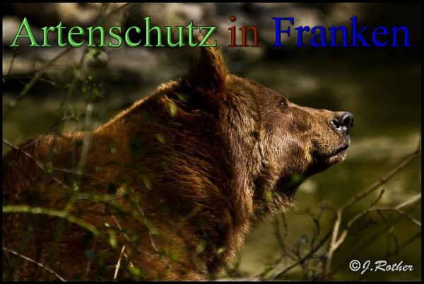 Copyright AiS-Johannes Rother Bild zum Eintrag (45342-160)