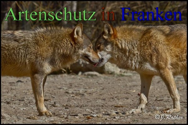 Copyright AiS-Johannes Rother Bild zum Eintrag (45353-160)