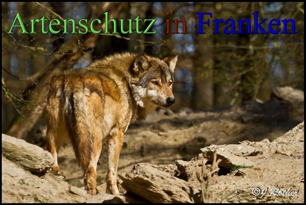 Copyright AiS-Johannes Rother Bild zum Eintrag (45354-160)