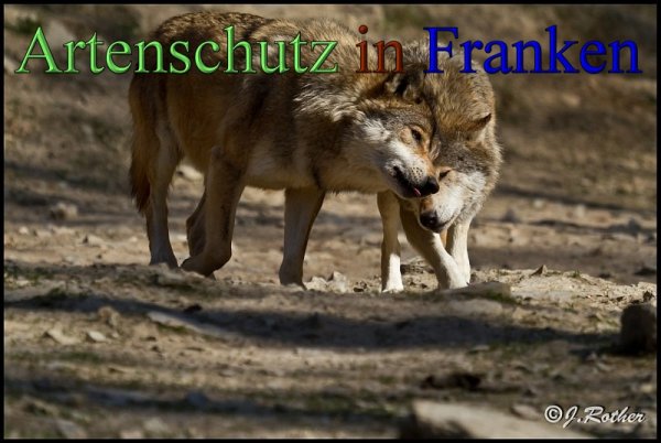 Copyright AiS-Johannes Rother Bild zum Eintrag (45355-160)