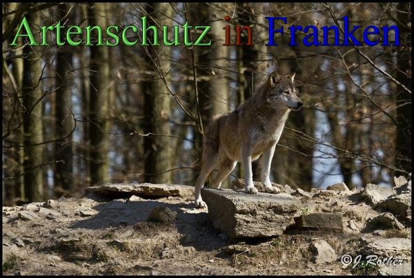 Copyright AiS-Johannes Rother Bild zum Eintrag (45356-160)