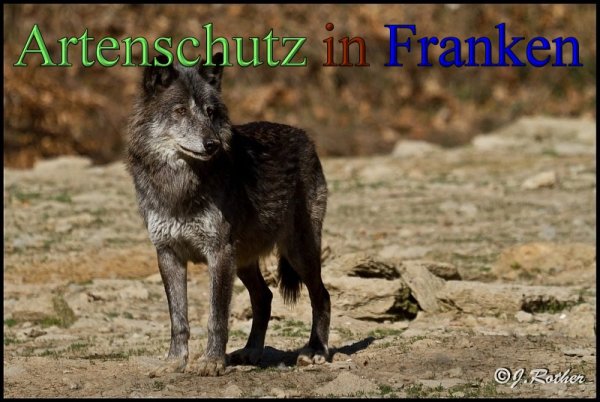 Copyright AiS-Johannes Rother Bild zum Eintrag (45358-160)