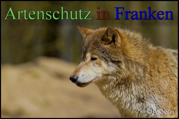 Copyright AiS-Johannes Rother Bild zum Eintrag (45361-160)