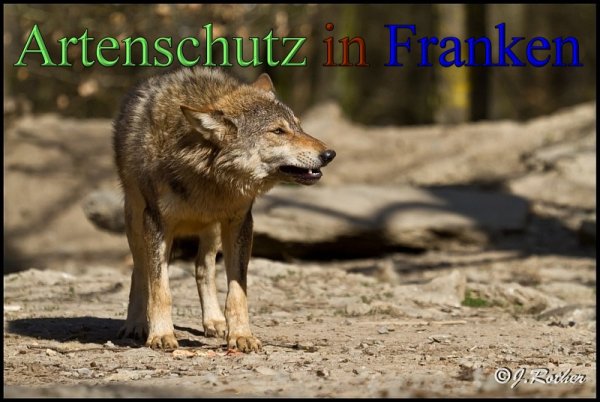 Copyright AiS-Johannes Rother Bild zum Eintrag (45363-160)