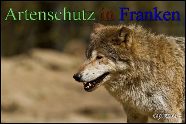 Copyright AiS-Johannes Rother Bild zum Eintrag (45364-160)