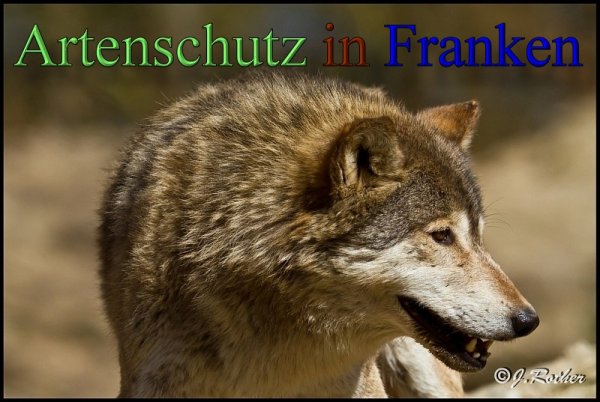 Copyright AiS-Johannes Rother Bild zum Eintrag (45365-160)