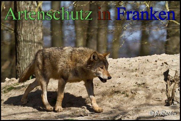 Copyright AiS-Johannes Rother Bild zum Eintrag (45366-160)