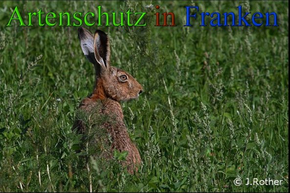 Copyright AiS-Johannes Rother Bild zum Eintrag (45408-160)