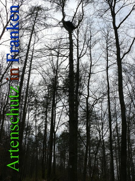 Copyright AiS Brückner Bild zum Eintrag (45607-160)