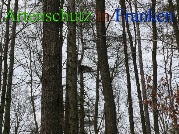 Copyright AiS Brückner Bild zum Eintrag (45608-160)